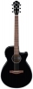 Ibanez AEG50 BK Ibanez AEG50 BK